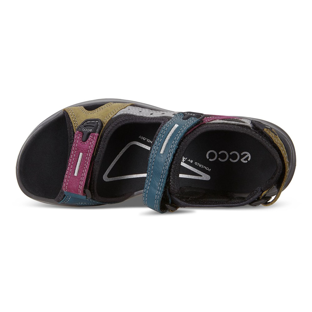 Sandalias Mujer - ECCO Offroad Flat - Verde Oliva - IBU520691